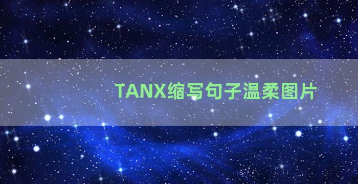 TANX缩写句子温柔图片