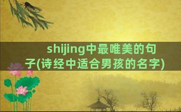 shijing中最唯美的句子(诗经中适合男孩的名字)